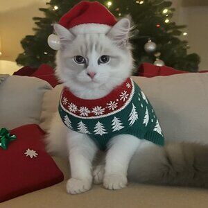 Meet your Posher, Lara